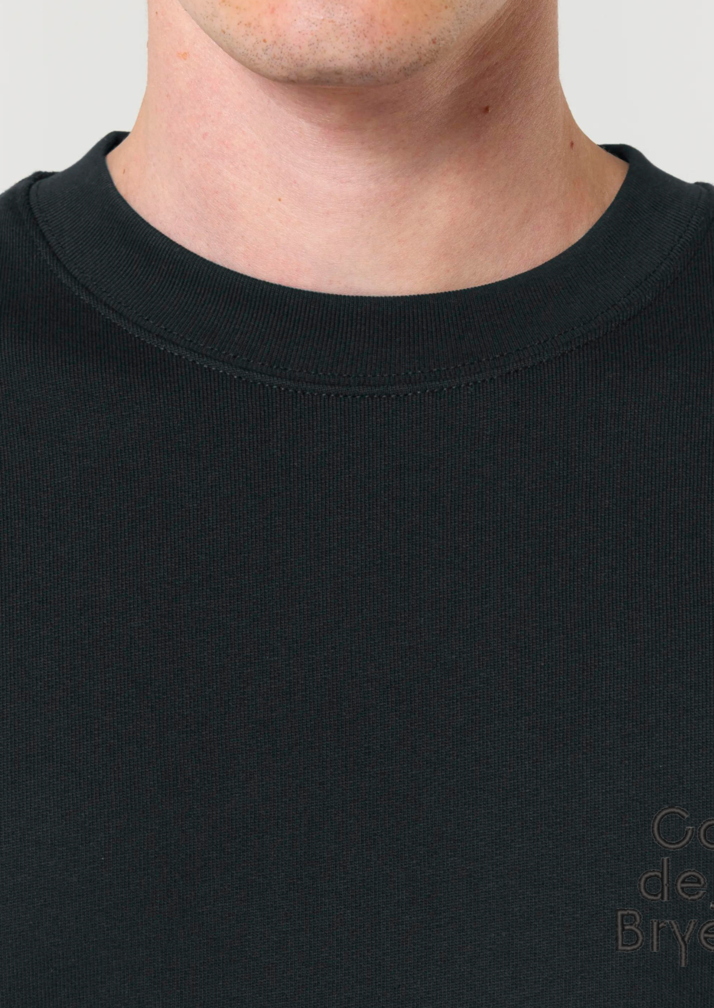 Sweatshirt Coriolan mit Logo-Stick