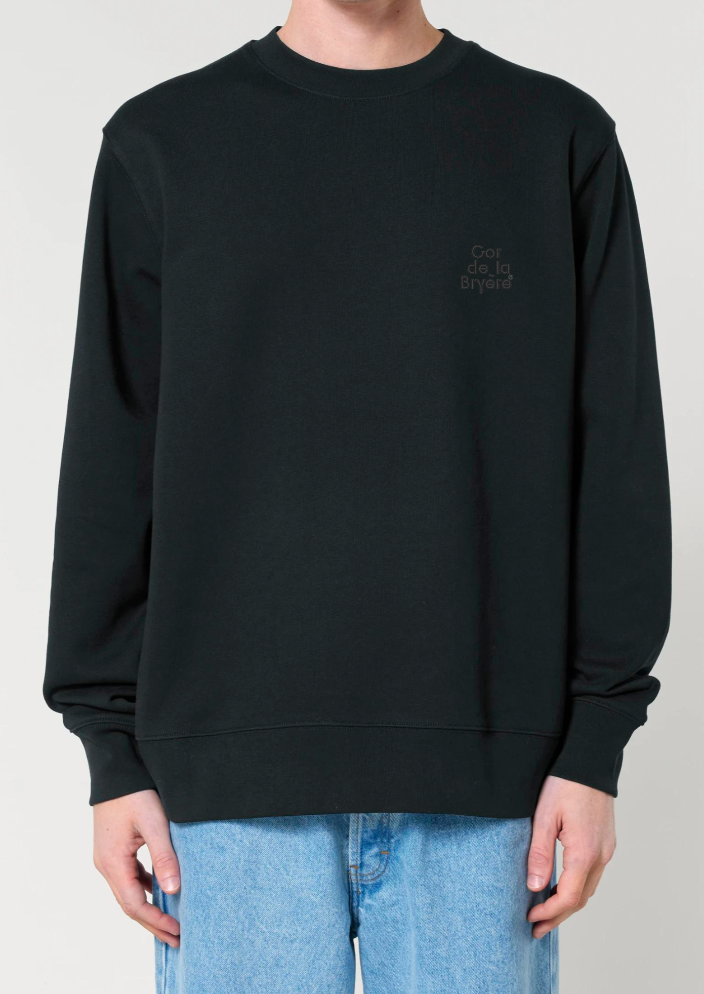 Sweatshirt Coriolan mit Logo-Stick