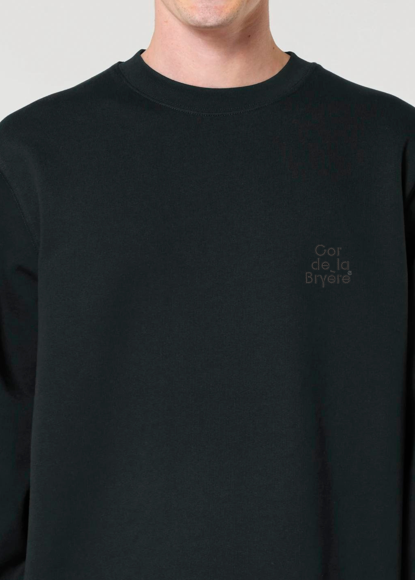 Sweatshirt Coriolan mit Logo-Stick